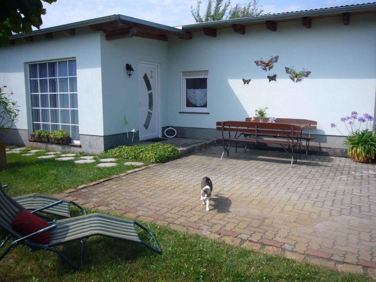 Apartments in Lübben Spreewald 26522 Steinkirchen  Exterior foto